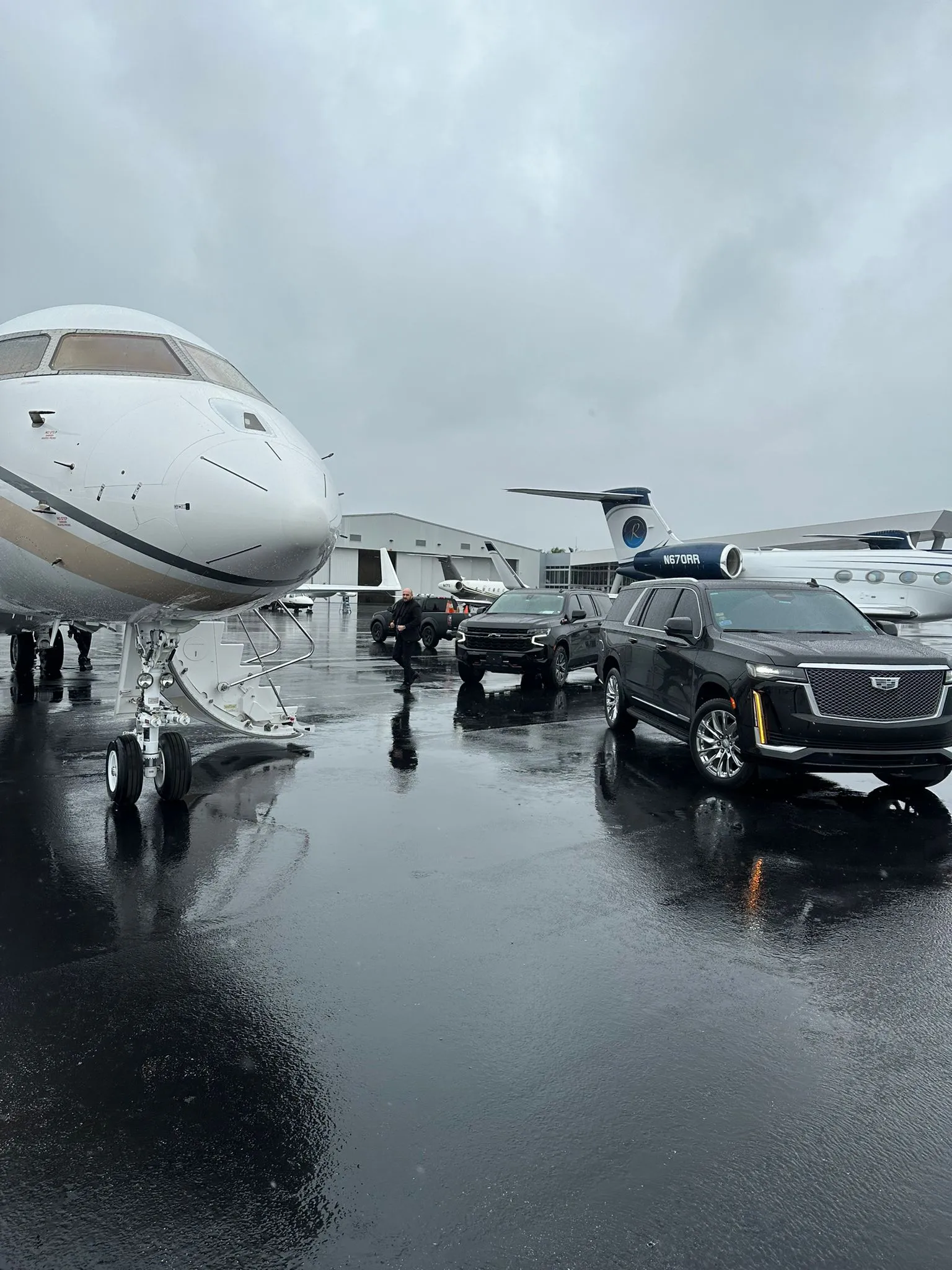 Professional chauffeur